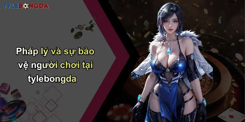 Pháp lý và sự bảo vệ người chơi tại tylebongda