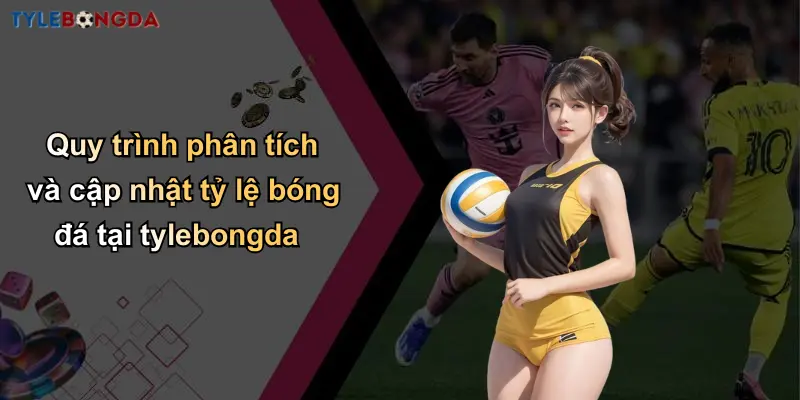 Quy trình phân tích và cập nhật tỷ lệ bóng đá tại tylebongda