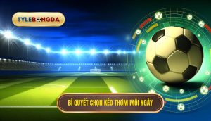 Bí quyết chọn kèo thơm mỗi ngày