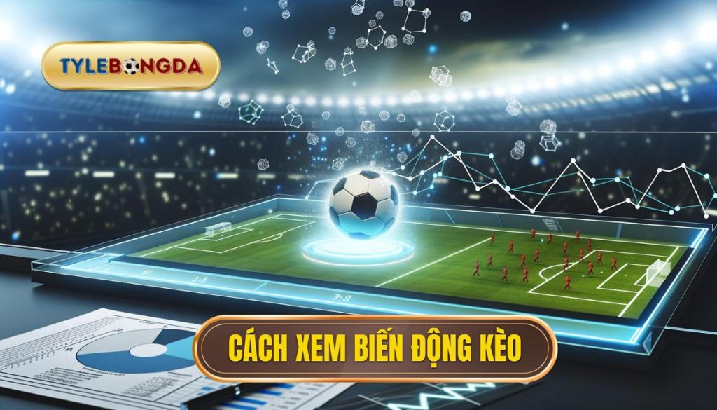 Cách xem biến động kèo chuẩn xác và hiệu quả 1 Cách xem biến động kèo