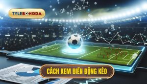 Cách xem biến động kèo