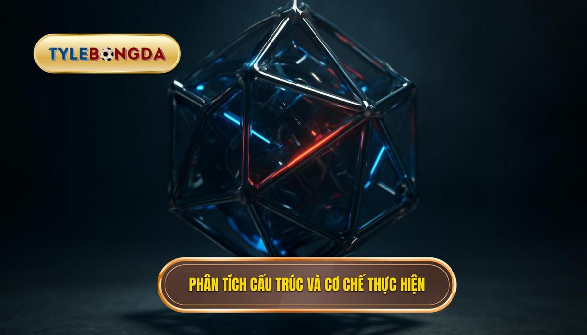 Phân tích Chuyên sâu Cấu trúc và Cơ chế Thực hiện