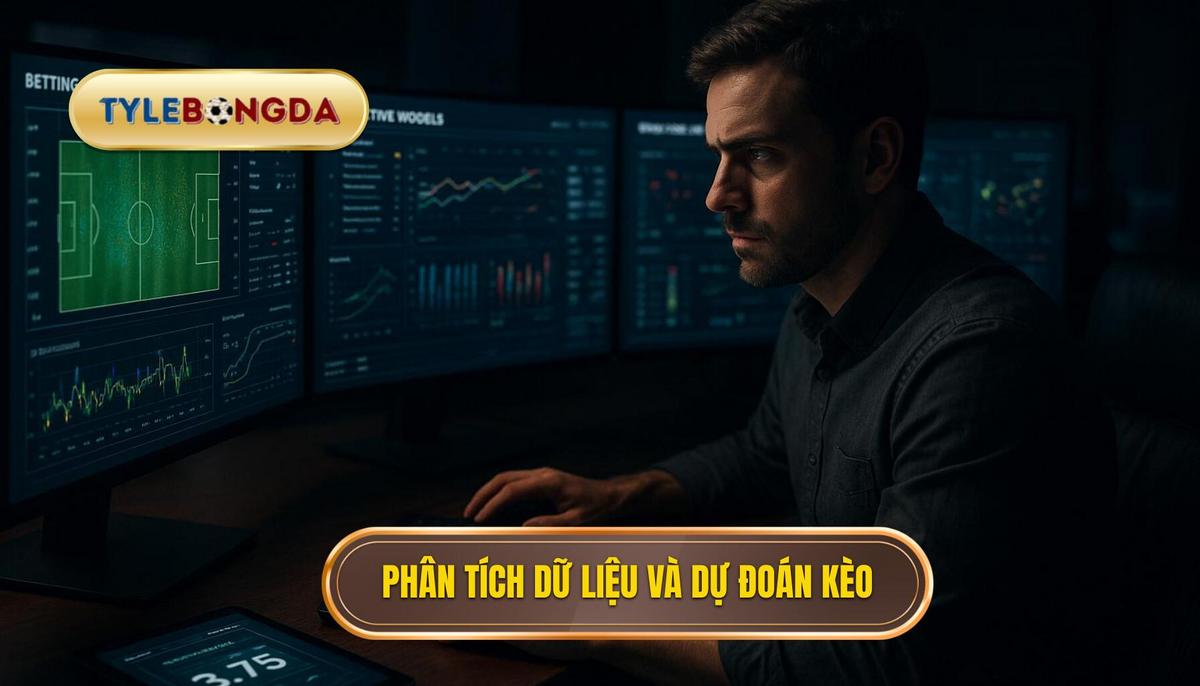 Phân tích dữ liệu và soi kèo chuyên sâu