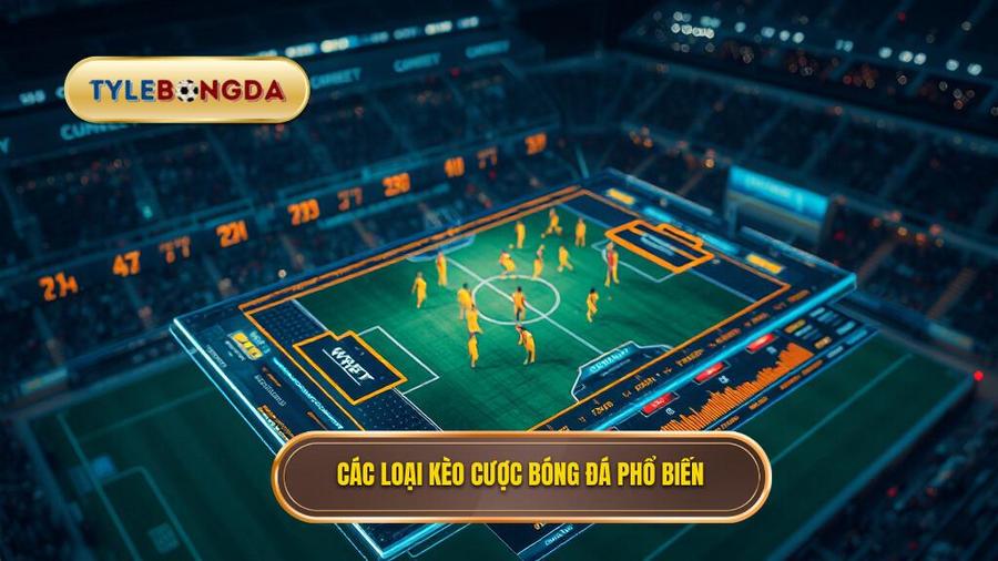Các loại kèo phổ biến tại một trang tỷ lệ kèo uy tín