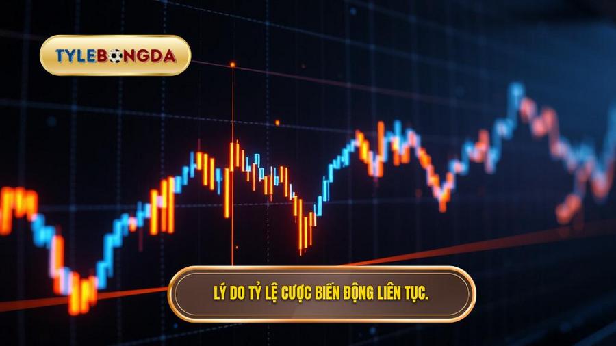 Tại sao tỷ lệ ăn cược lại biến động liên tục?