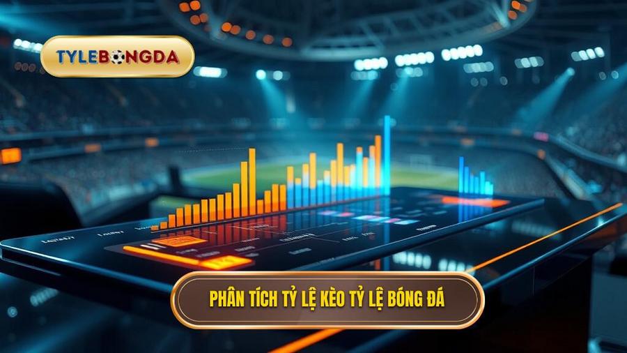 Phân loại và cách phân tích các loại kèo phổ biến