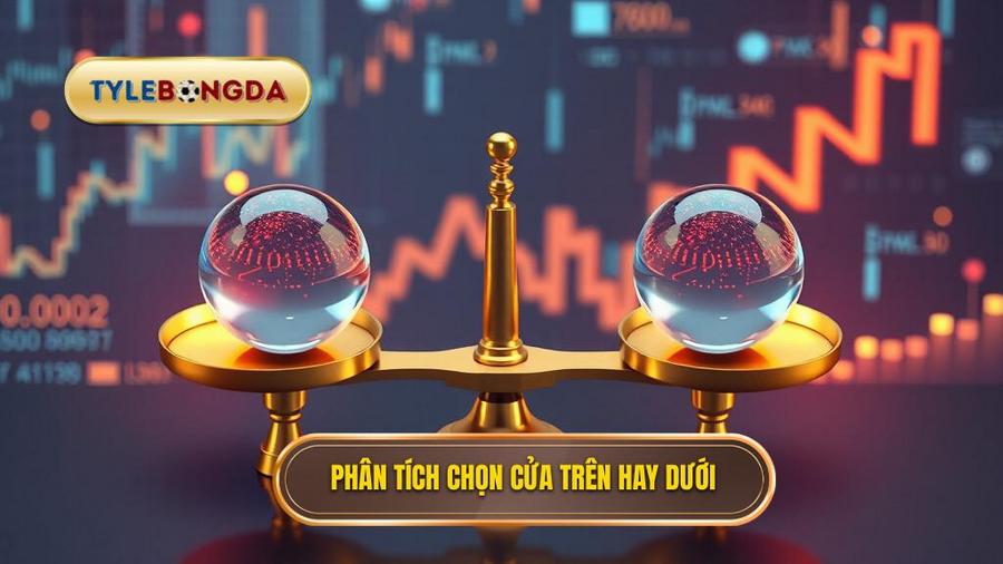 Phân tích đa chiều: Khi nào nên chọn cửa trên hoặc cửa dưới?
