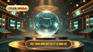 Kèo Thơm Hôm Nay: Nghệ Thuật Chọn Cửa Đặt Mang Lại Chiến Thắng Tuyệt Đối
